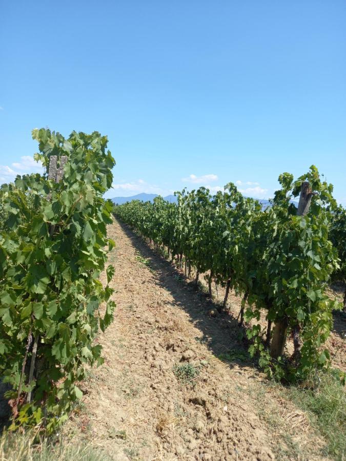 קולסלווטי La Quiete Tra Le Vigne Tuscany מראה חיצוני תמונה