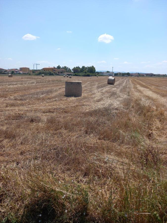 קולסלווטי La Quiete Tra Le Vigne Tuscany מראה חיצוני תמונה