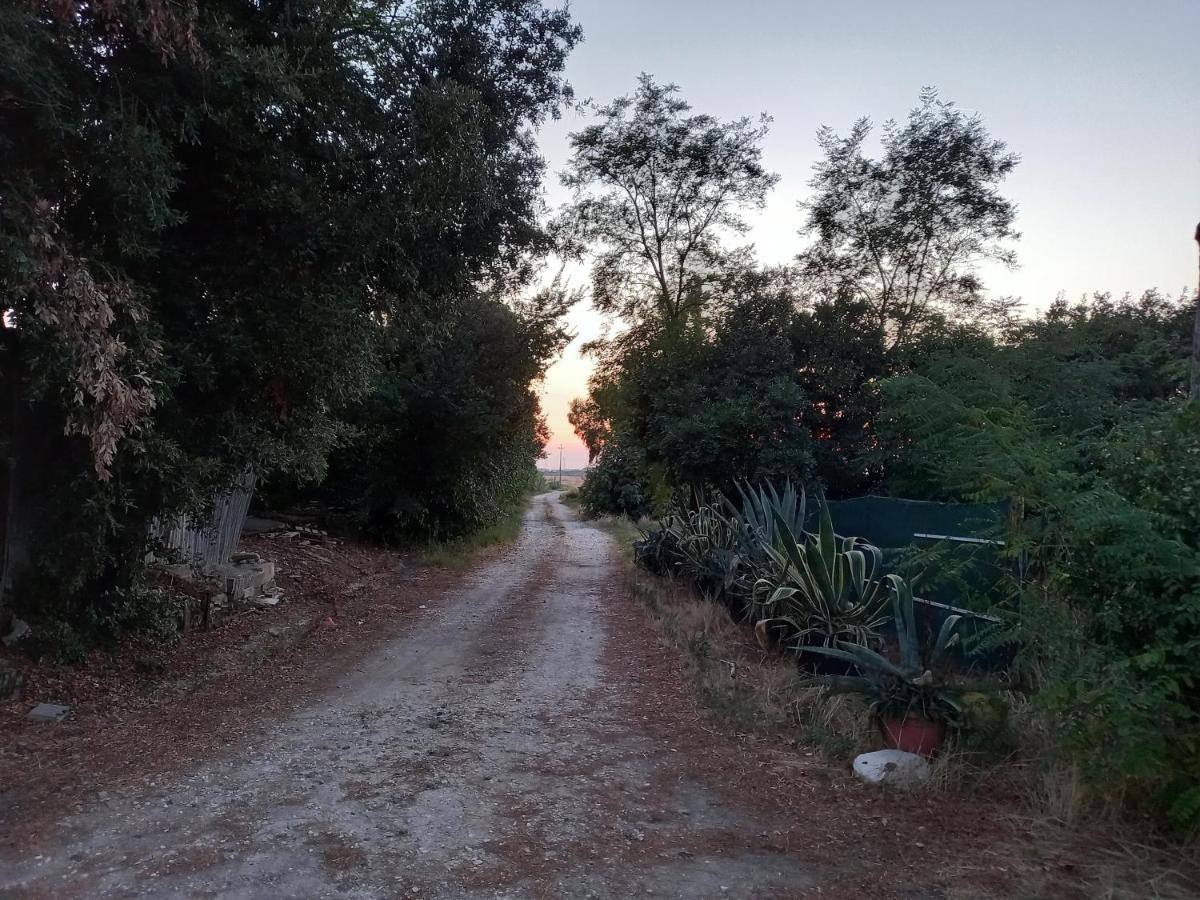 קולסלווטי La Quiete Tra Le Vigne Tuscany מראה חיצוני תמונה