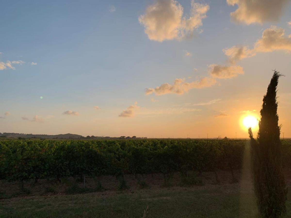 קולסלווטי La Quiete Tra Le Vigne Tuscany מראה חיצוני תמונה